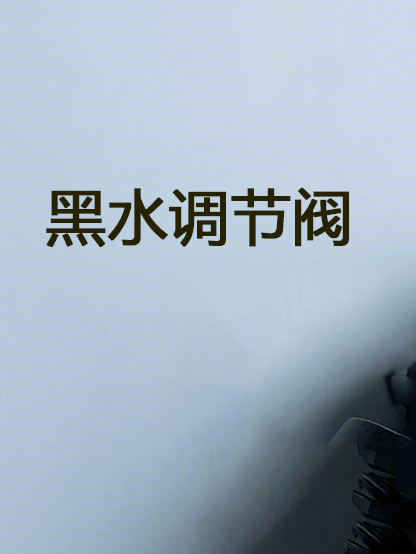 黑水调节阀  Black water regulating valve