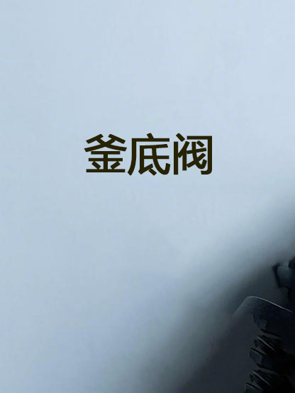 釜底阀 Bottom valve