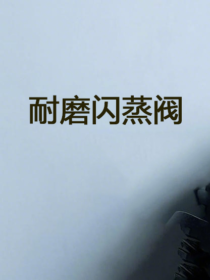 耐磨闪蒸阀  Wear resistant flash valve