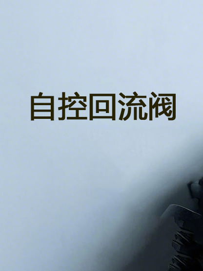 自控回流阀 Self controlled reflux valve